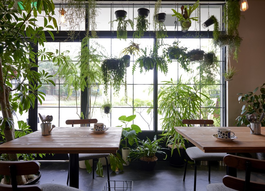 フレンチカフェ C'EST CHOUETTE 画像