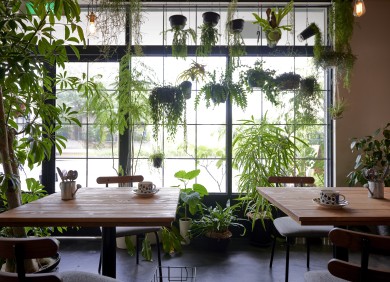 フレンチカフェ C'EST CHOUETTE 画像